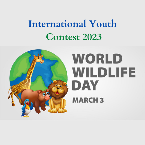 International-Youth-Contest-2023