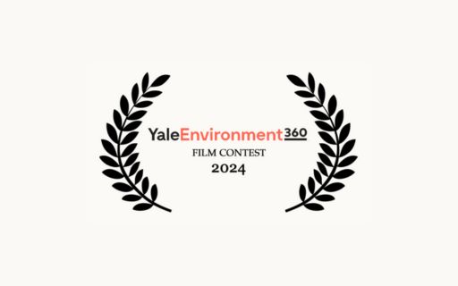 11th Annual Yale Environment 360 Film Contest