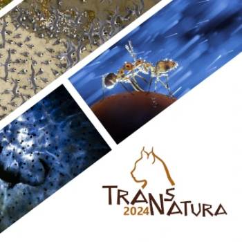 11th TransNatura International Nature Photo Contest 2024