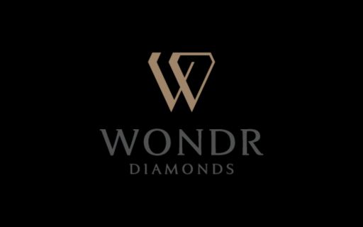 Wealth Out of Waste Contest 2024 by Wondr Diamonds and The Hindu